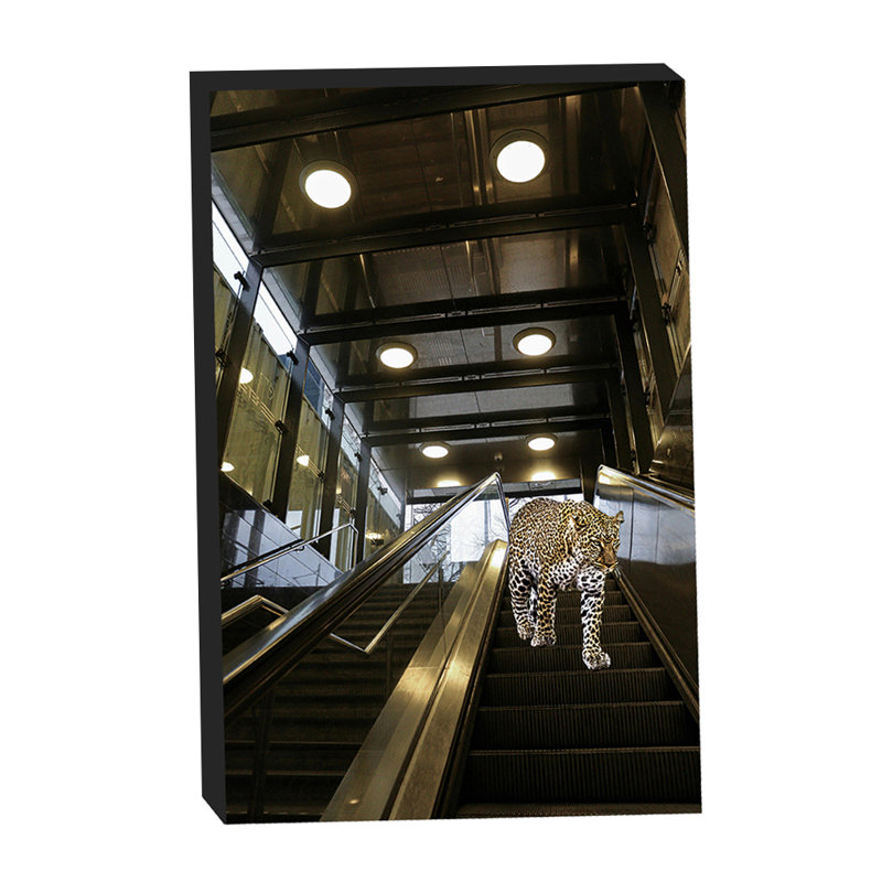 Leopard on the Mall Escalator by Grotto Studios