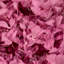 Natural Botanicals 15" Hydrangea with Multiple Branch Segments, Preserved-616070911
