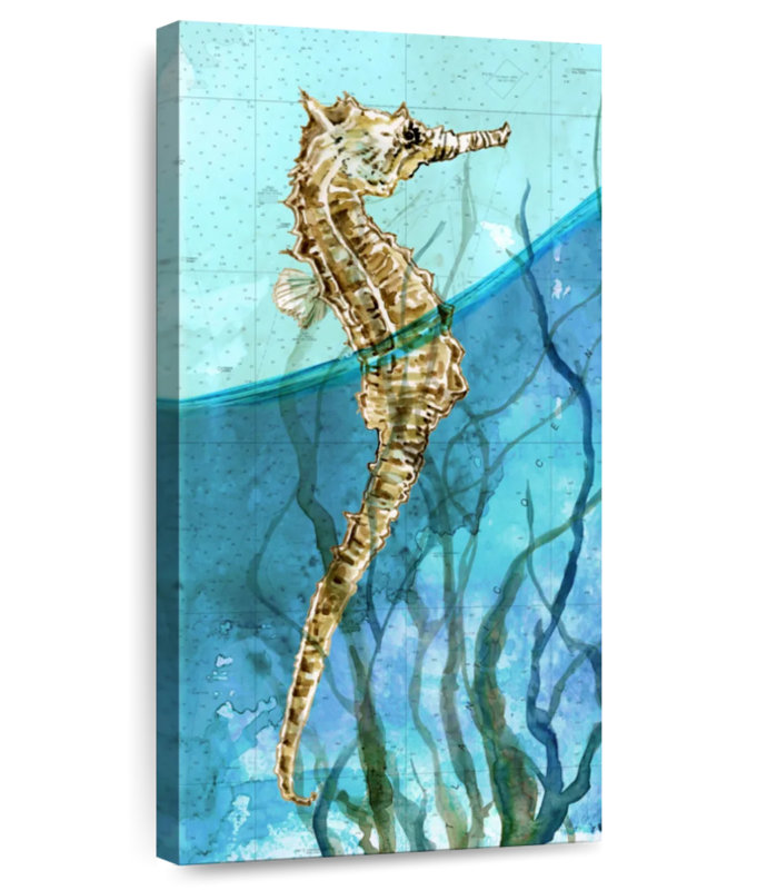 Hippocampe atlantique, H 54 po x l 27 po