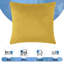 Plain Velvet Cushion Cover-(Pack of 4)-1643677850