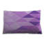 Coussin 455-1166999801-1166999806