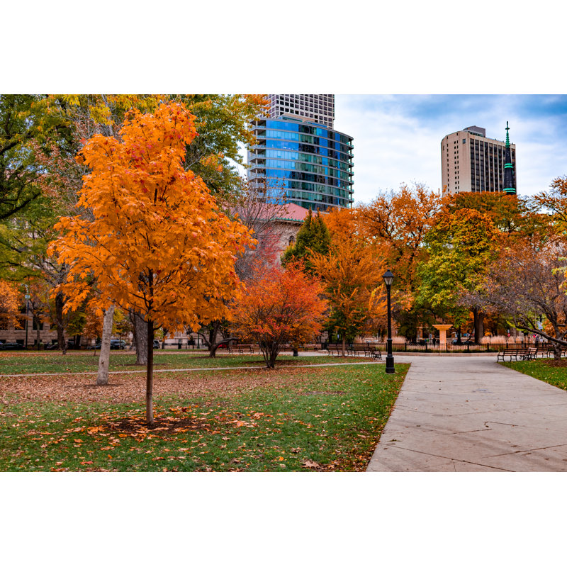 Washington Square Park by James Andrews - Wrapped Canvas Print, 30cm H x 46cm W