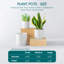 FLHPOT Ceramic Pot Planter-332050618