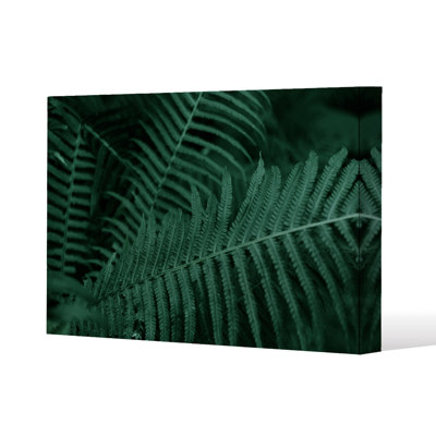 Plants background. Biophilia trend Slim Style Canvas Print, 15mm Slim Real wood.