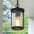Maliae 1-Light Outdoor Hanging Pendant Light