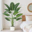 Plant-1534334906-1534334907