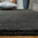 Ewen Hand Loomed Wool/Cotton Solid Color Rug in Charcoal
