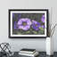 Purple Flowers - Framed Print-62758850-62758855