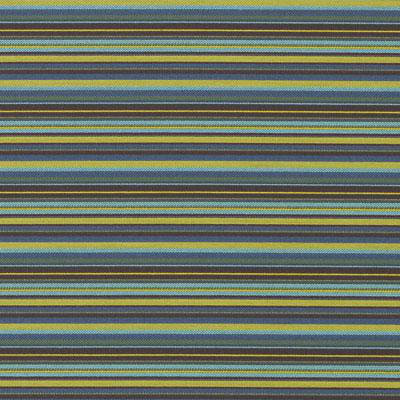 Crypton Woven Jacquards IX Fabric, Peacock
