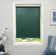 Blackout Roller Shade