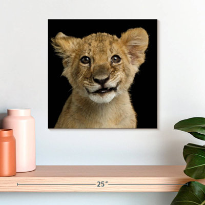 Tête de lion Brampt