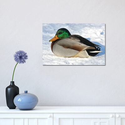 Cold Duck by Brian Wolf - Wrapped Canvas Print