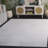 Dasean 100 Performance Solid Color Rug-1422543687
