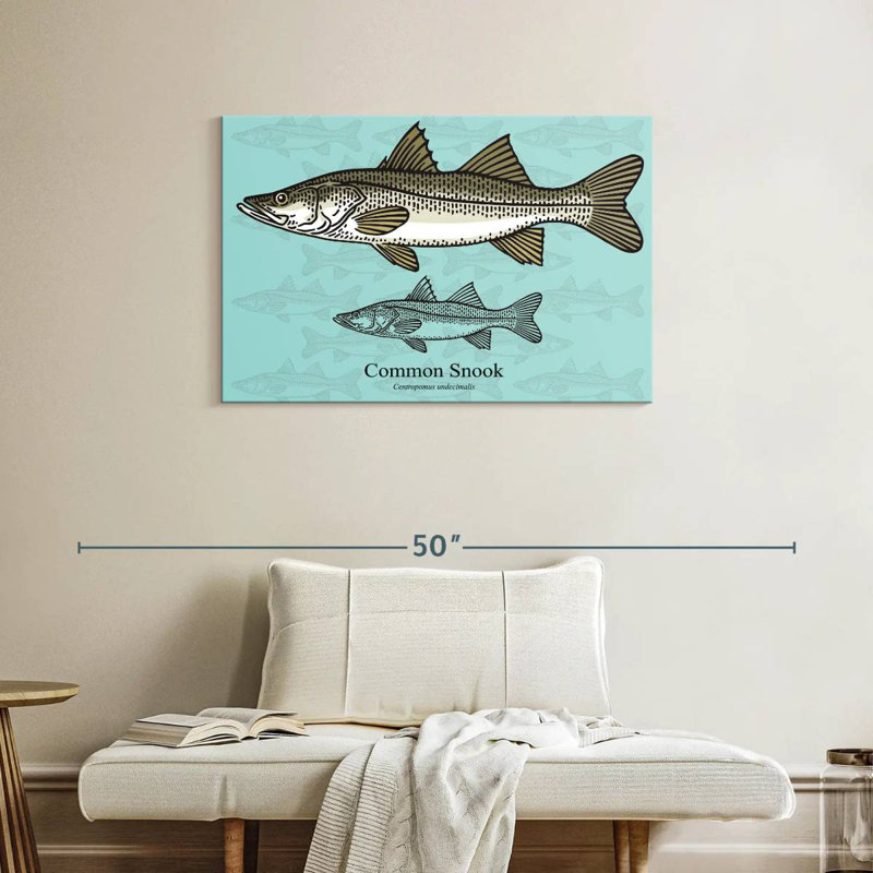 Brampt Common Snook, 24" H x 36" W