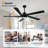 Athanafis Ceiling Fan with LED Lights-1437761266-1424666243-1443256917