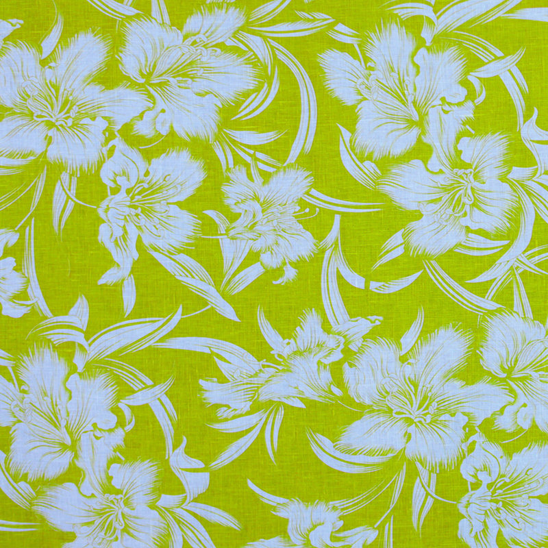 KEY WEST OYSTER YELLOW