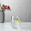 Juno Handmade Crystal Drinking Glass