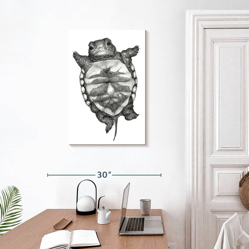 Petite tortue Brampt, H 30 po x l 20 po