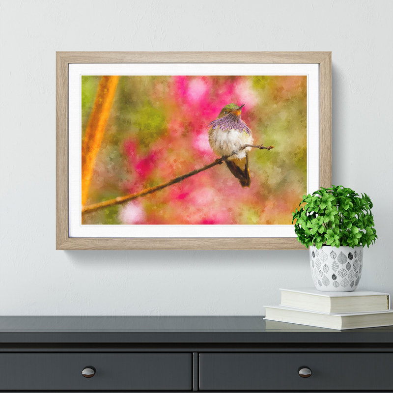 Hummingbird - Picture Frame Graphic Art Print, 27cm H x 36cm W x 2cm D, Oak Framed