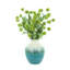 Echinops disposés dans un vase en céramique-132254119