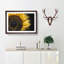 Yellow Sunflower Rising - Picture Frame Painting Print-56739477-56739478