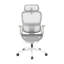 Ergonomic Office Chair, with Adaptive Lumbar Support, 6D Armrests, High Back Office Chair-1510570573