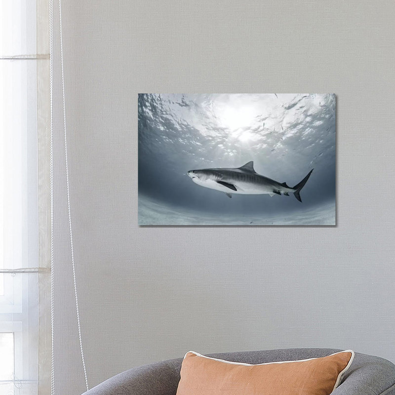 Tiger Rays by Ken Kiefer - Wrapped Canvas Gallery-Wrapped Canvas Giclée, 66.04 cm H x 45.72 cm W x 1.91 cm D