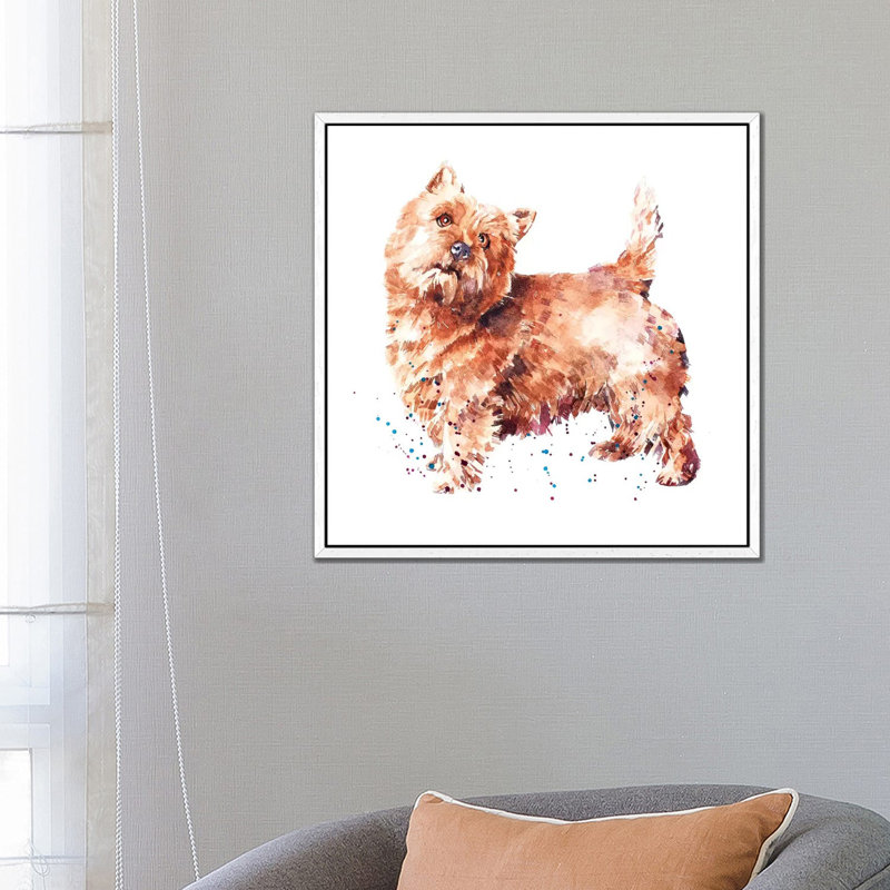 Norwich Terrier - Painting on Canvas, 66.04 cm H x 66.04 cm W, White Framed