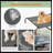 Pet Bed,Elevated Dog Bed-969786714