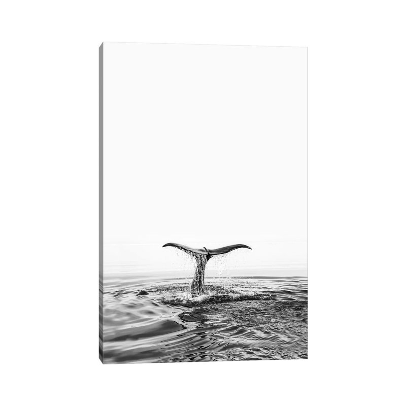 Whale Tale by Sisi & Seb - Wrapped Canvas Print, 101.6 cm H x 66.04 cm W x 1.91 cm D