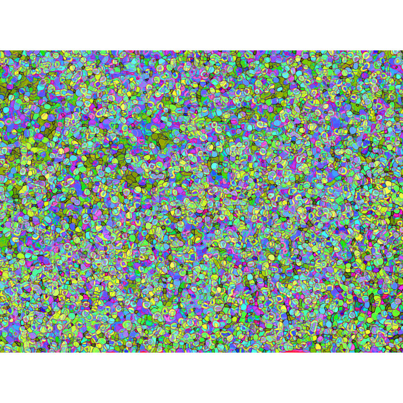 Sparkle For The Season Print by Drew Gaffney, Black Framed Paper, 17.25" H x 21.25" W