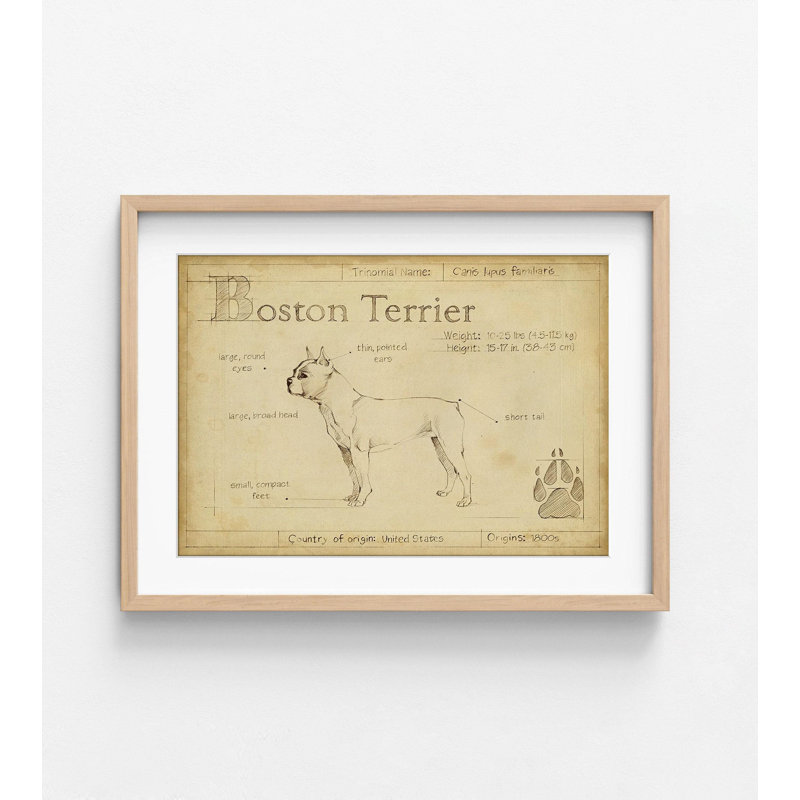 Vintage Boston Terrier, impression encadrée de chien, impression d'affiche, impression mignonne Alay, affiche d'art Terrier, art mural encadré