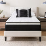 Wayfair Sleep 10" Plush Pillow Top Hybrid Mattress