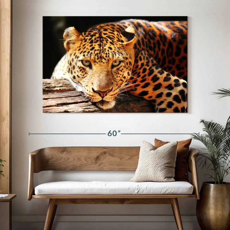 Brampt Leopard Gaze, 34" H x 51" W