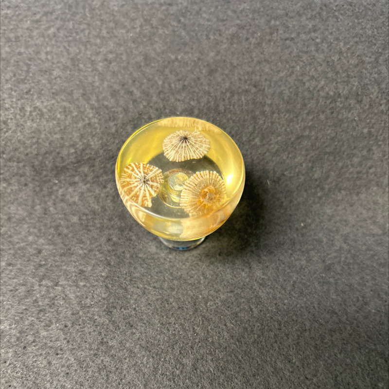 (Paquet de 5) Base chromée en forme de petit bouton 1-1 / 4 pouces