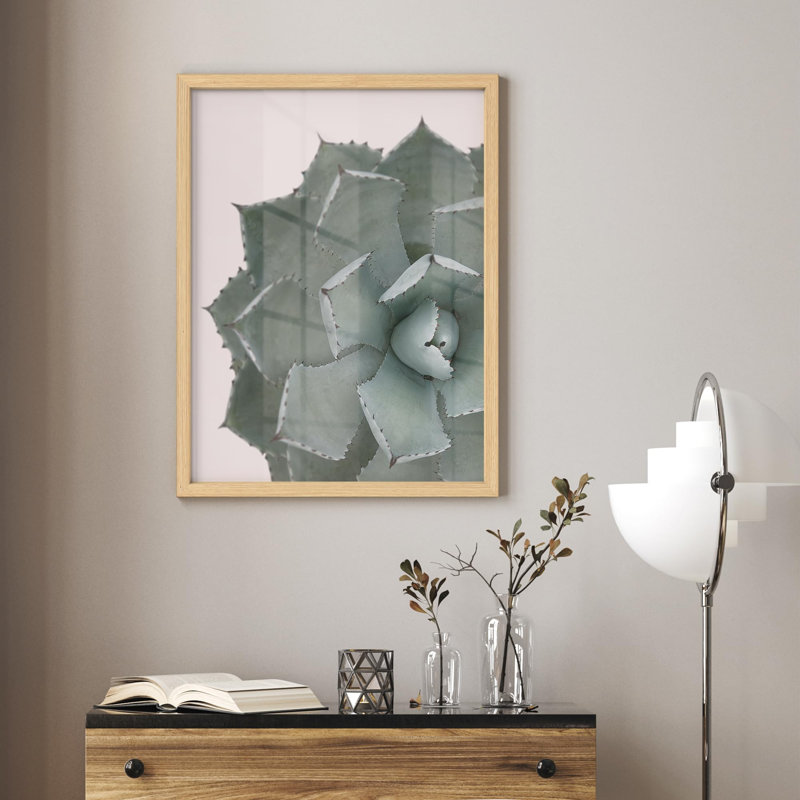 Gros plan sur une plante agave, petite œuvre d'art décorative, Naturel, H 14 po x l 11 po