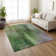 Machine Washable Indoor/Outdoor Brenden ACN2241 Abstract Rug