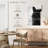 Brampt Black And White Cat-108536459