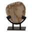Tiernan Sculpture Light Natural