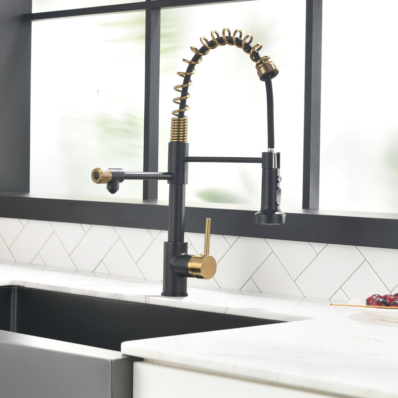 Robinet de cuisine Modern Purifier