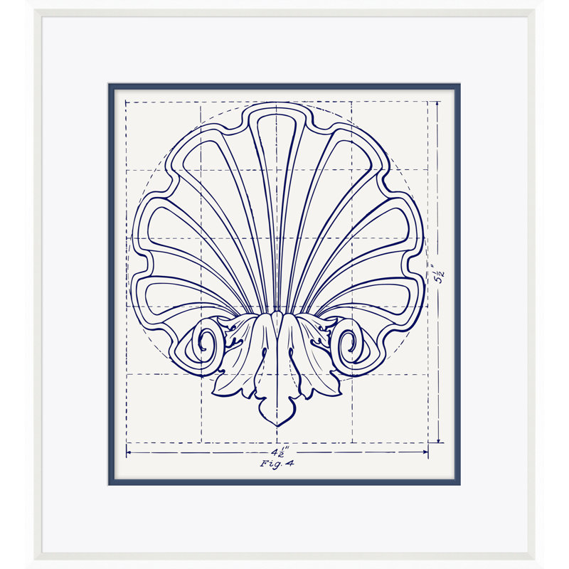 White Shell Study Framed Drawing Print, 23" H x 21" W, White