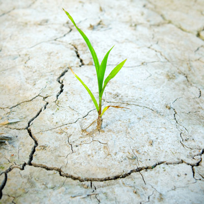 «Life in a Desert» par Bibikoff