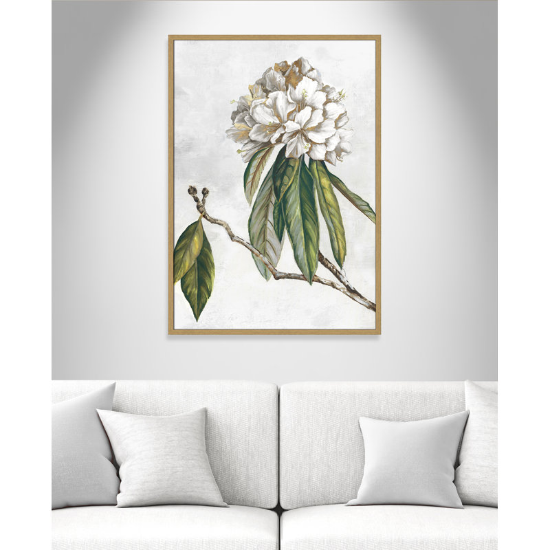 «Pearly Beauty II» par Eva Watts, Grain de bois naturel, L 29,5 po x H 41,5 po, Impression encadrée