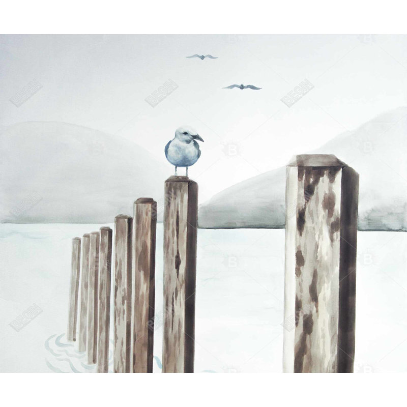 Mouette à la marina