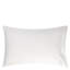 Astor Pillow Case-25726499-112832794