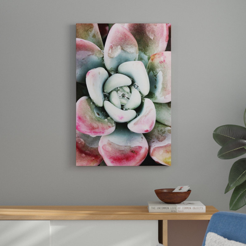 Pastel Succulent Beauty V by Irena Orlov - Photograph Print, 91cm H x 61cm W, Wrapped Canvas