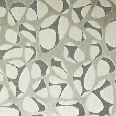 Tissu Prospect