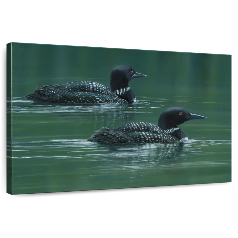 Two Loons, 32" H x 48" W