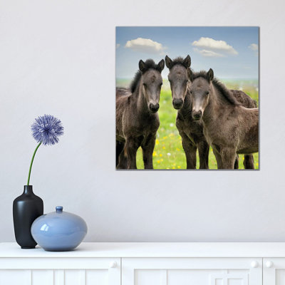 Collection Of Horses IX by PHBurchett - Wrapped Canvas Painting