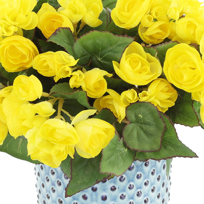 Begonias in Dotted Ceramic Pot, Yellow